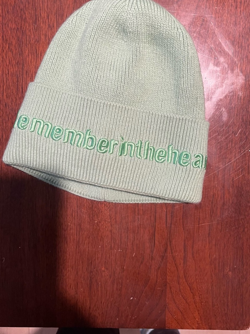 Mint Green Embroidered Knit Beanie